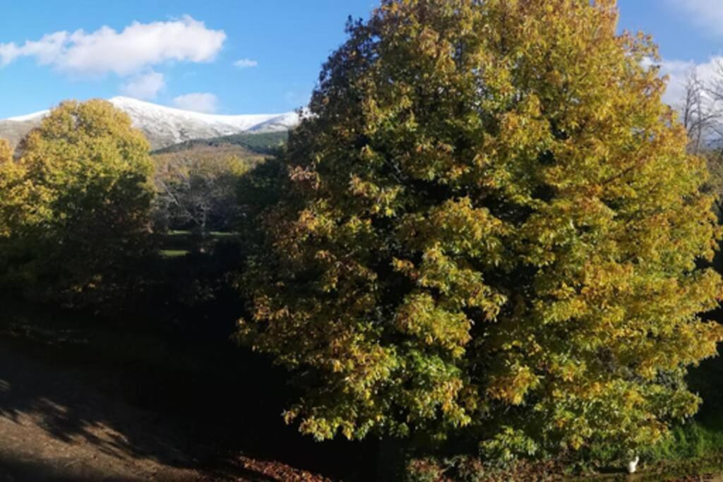 Apto. Rural Las Candelas. La Covatilla Apartman Candelario Kültér fotó