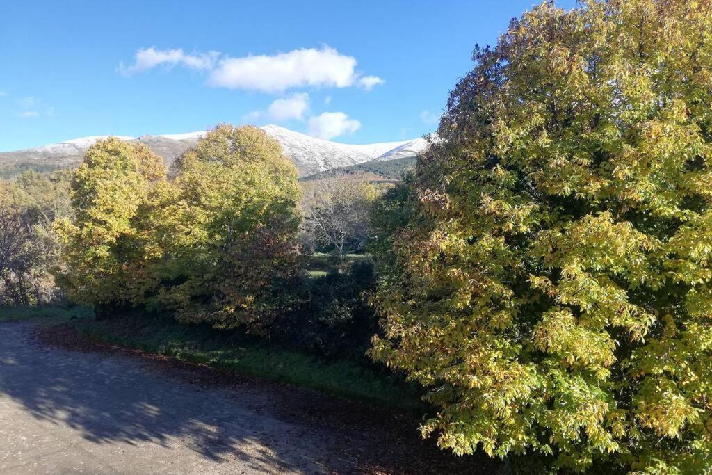 Apto. Rural Las Candelas. La Covatilla Apartman Candelario Kültér fotó